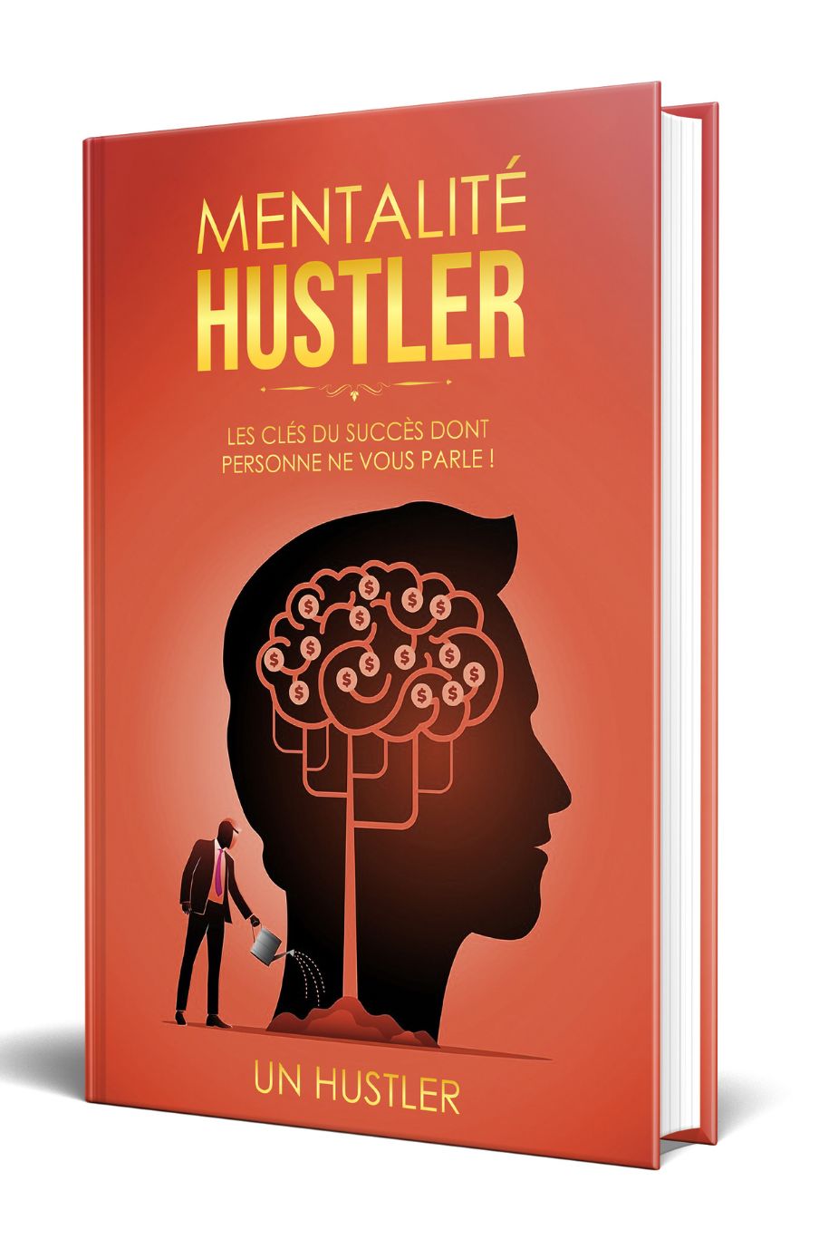 Mentalité Hustler - Les clés du succès dont personne ne vous parle !
